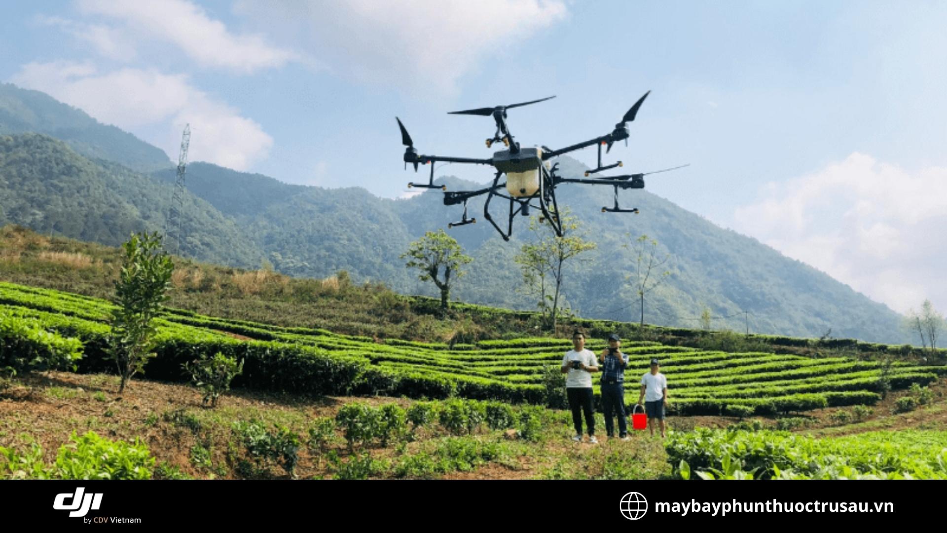 Biện pháp nâng cao hiệu quả phòng trừ sâu bệnh hại cây táo