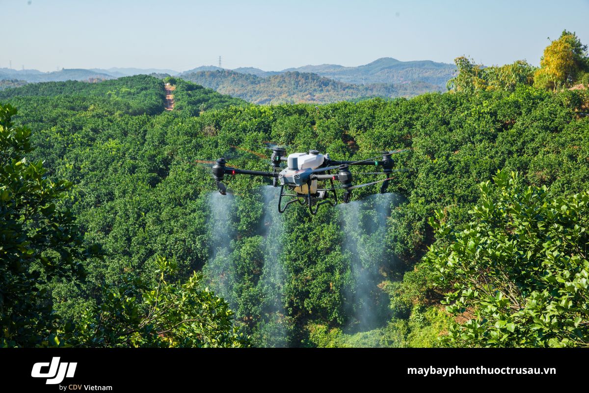 Tiềm năng ứng dụng máy bay nông nghiệp tại Đắk Nông