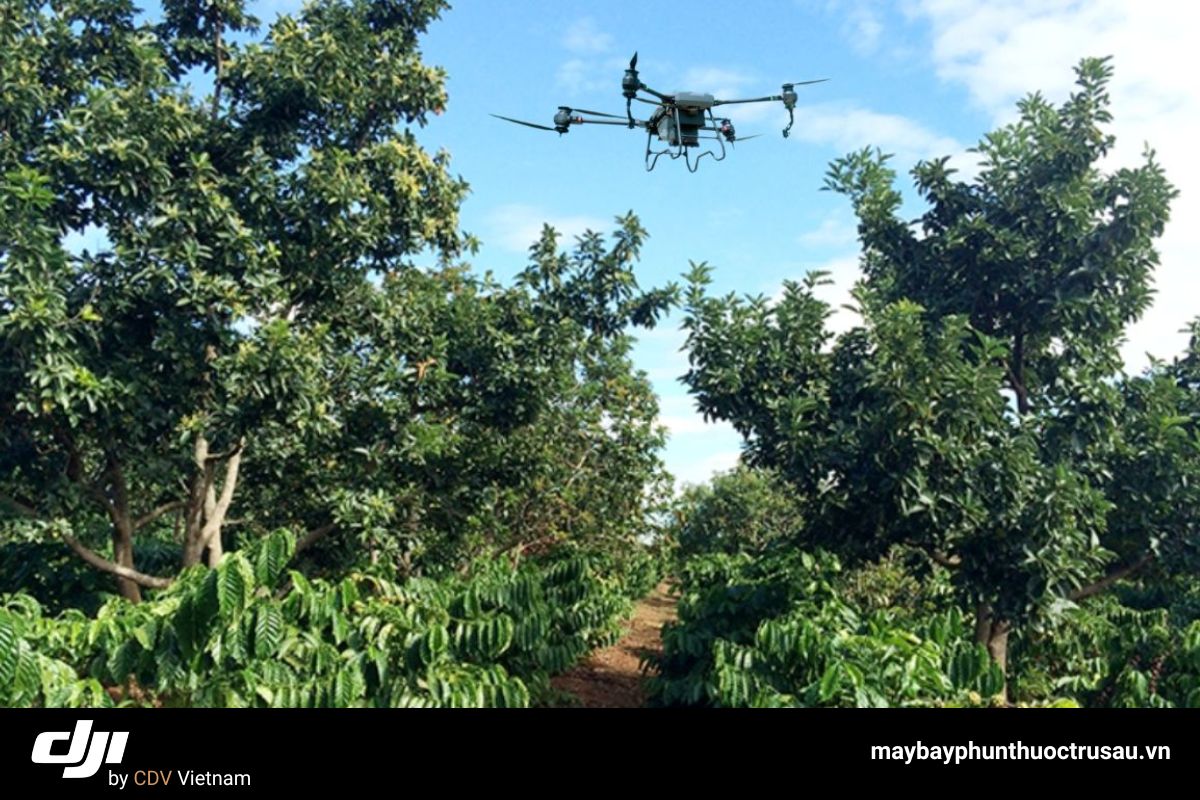 Máy Bay Phun Thuốc Cho Bơ Giúp X Năng Suất, Giảm Chi Phí 5 Hiệu quả thực tế từ drone phun thuốc cho vườn bơ tại các tỉnh trọng điểm