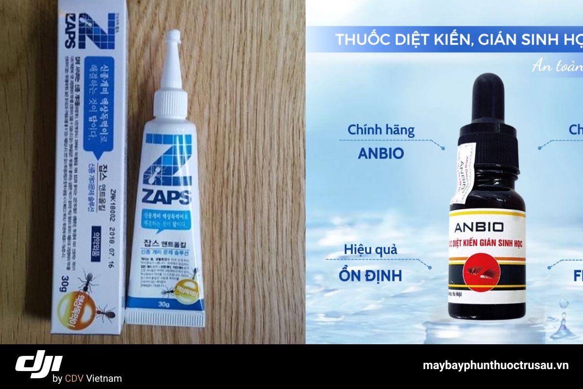 9 Cách Diệt Kiến Đen Trên Cây Cà Phê Hiệu Quả Nhất 8 Đặt bả diệt kiến sinh học dạng gel hoặc hạt