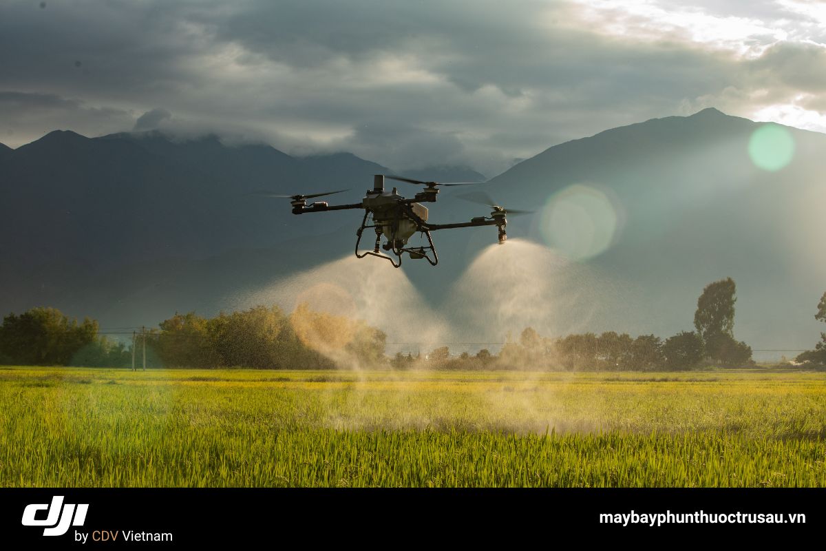 Hướng Dẫn Sử Dụng Máy Bay Phun Thuốc DJI T70P Đơn Giản 5 Khởi động dji t70p đúng quy trình