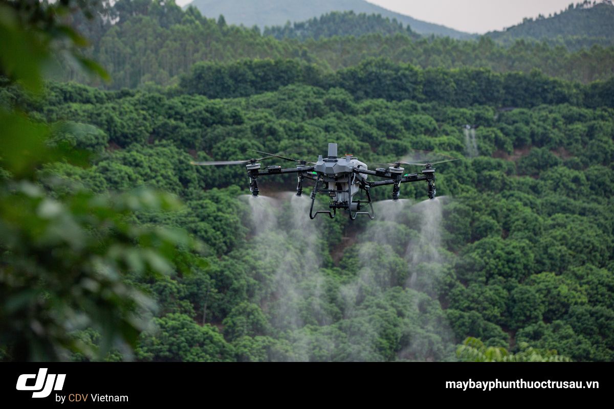 Review DJI T70p: Dung tích lớn, giá không tăng, hiệu suất cao 5 Tổng quan dji agras t70p