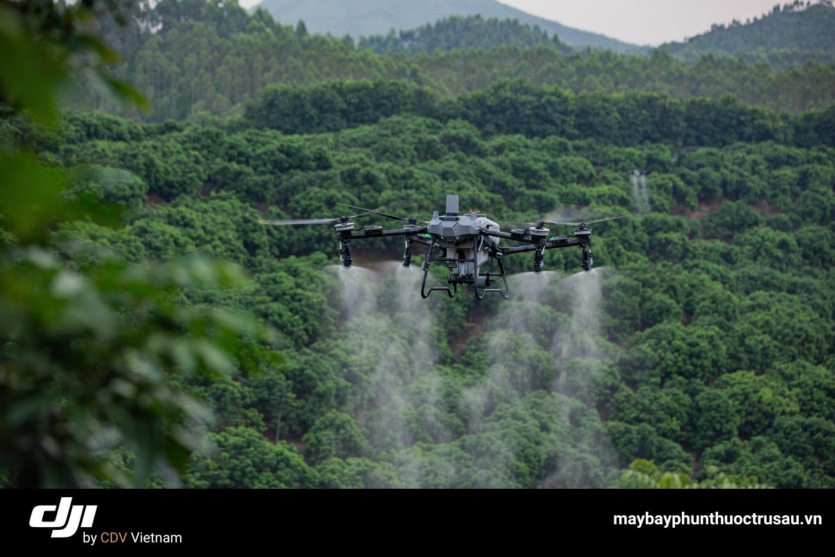 Đặc điểm nổi bật của dji t70p cho cây thanh long