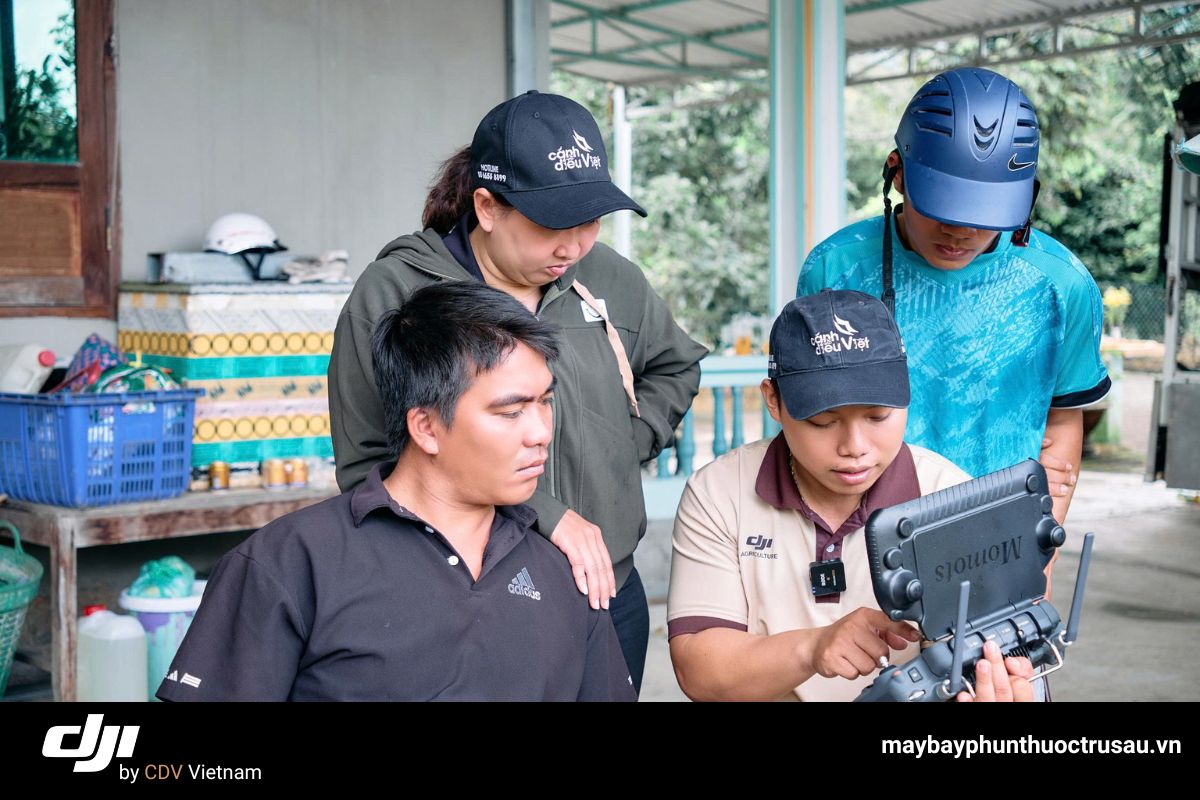 Quy trình phun thuốc cho cây mía bằng dji t70p