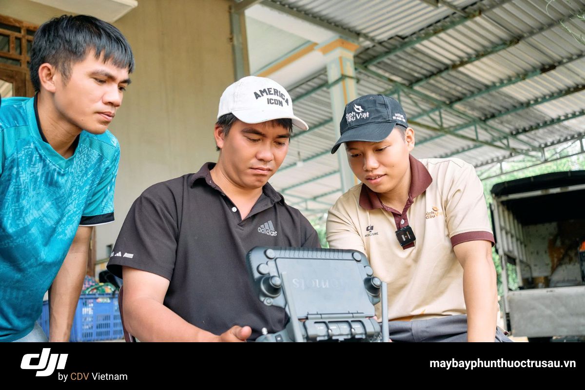 Quy trình phun thuốc cho thanh long bằng dji t70p