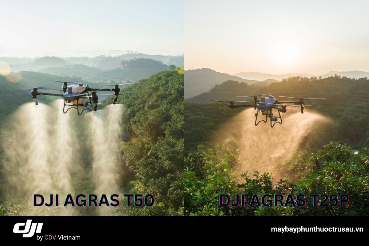 Hình ảnh DJI T25P và T50