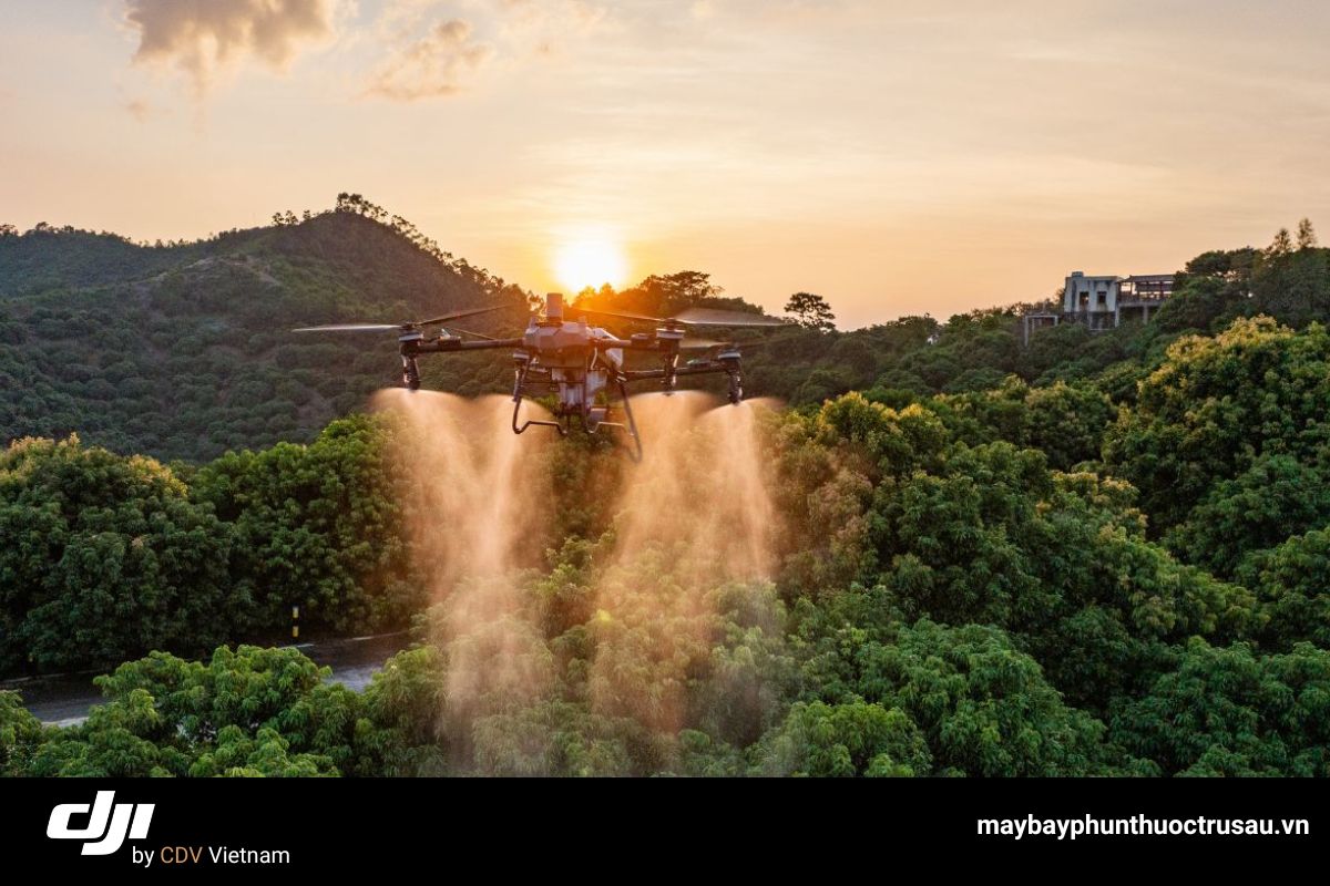 Hình ảnh DJI T70P
